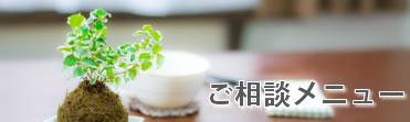 ̥˥塼